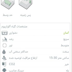 گیاه آبزی آکواریوم پلنت گندمی پیچ Vallisneria sp. “asiatica” (پک 4 بوته)