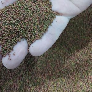 غذای گرانولی سوپر ویت تروپیکال Tropical Supervit Granulat (بسته بندی باصرفه)