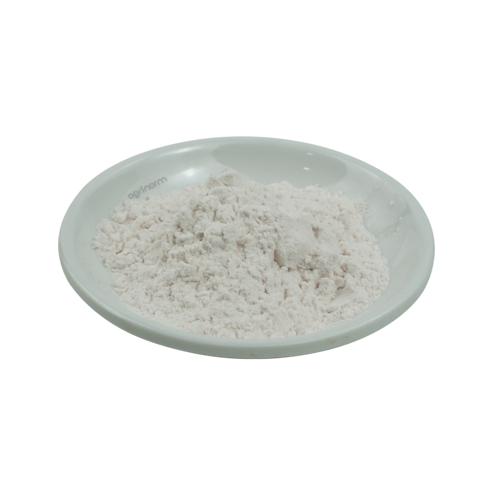 کود کلات منگنز پودری 12.5% EDTA Chelated Manganese - Image 3